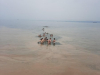 shared-image-12