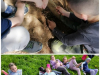 Collage_20250425_190934