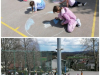 Collage_20250425_192534