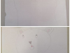 Collage_20250224_093750