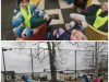 Collage_20250128_170532