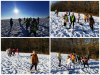Collage_20250128_170635