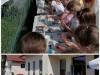 Collage_20240628_154239