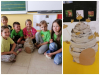 Collage_20240528_182721