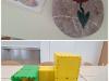 Collage_20240529_190600