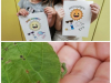 Collage_20240601_152607
