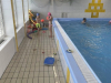 IMG-b55703caae11f93000e4b94ff5f8889e-V