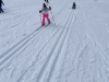 ŠD - Planica - Tamar