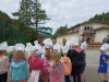IMG_20240523_085601