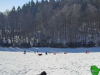 IMG-b6005122f27f1d8c3012d1a8d7f0845f-V